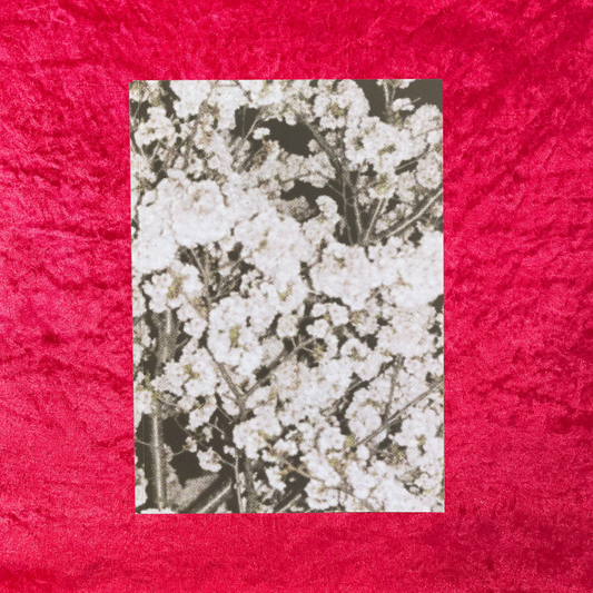 Here, Everywhere - Chris Loufty